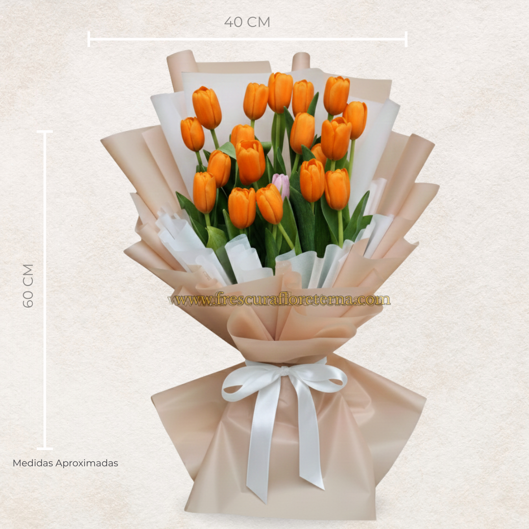 Bouquet of Tulips