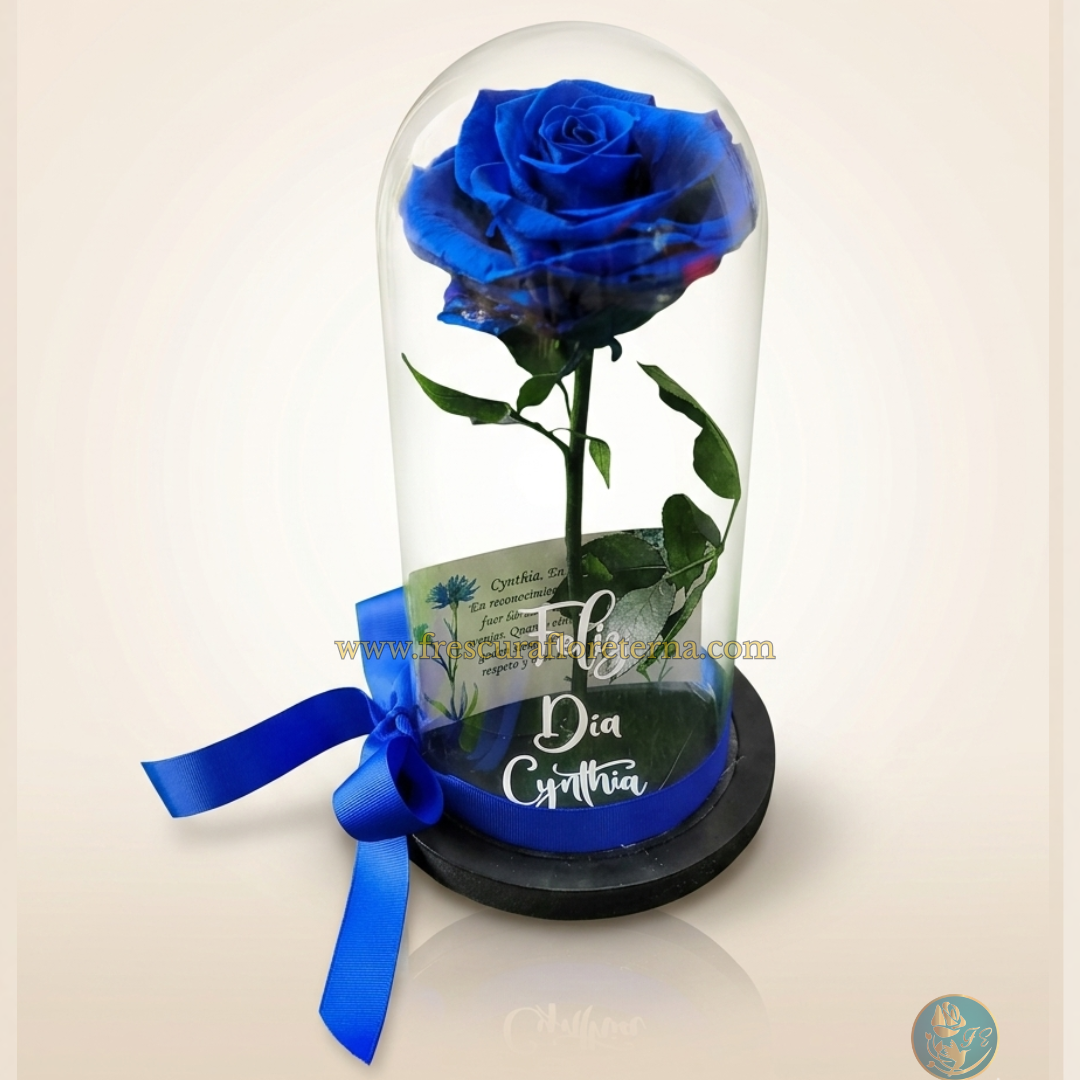 Rosa Jumbo Eternizada Premium