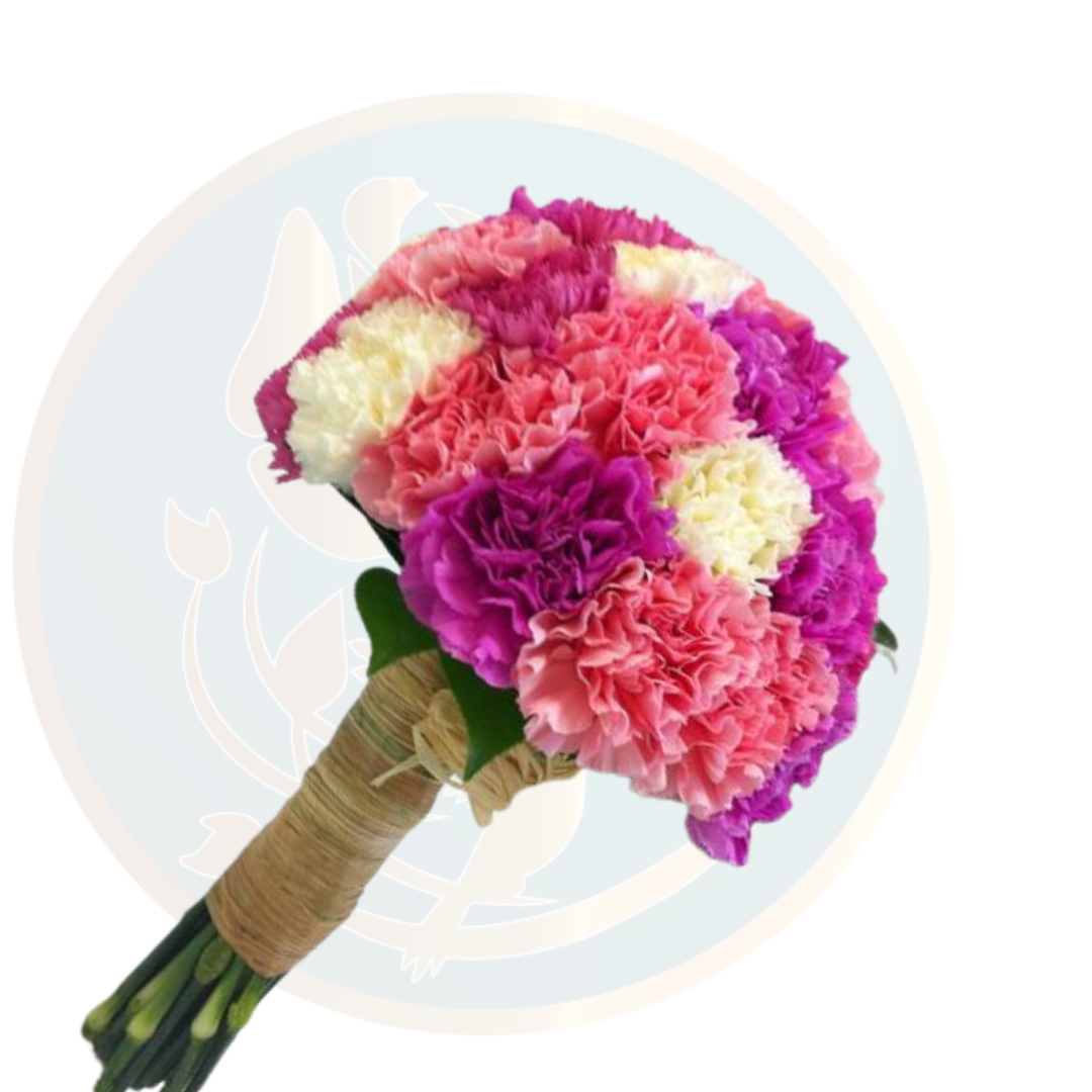 Elegant bouquet of carnations