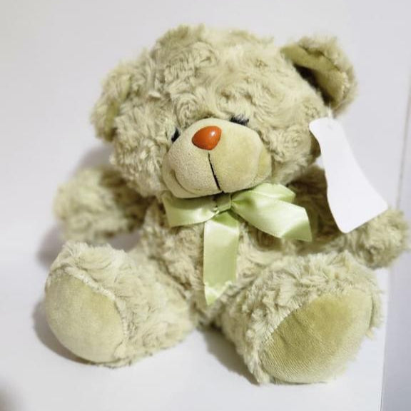 Peluche Suave de 16 cm – Ternura en Miniatura 🧸✨