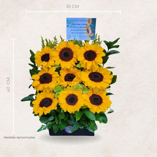 Rayo de Sol Floral