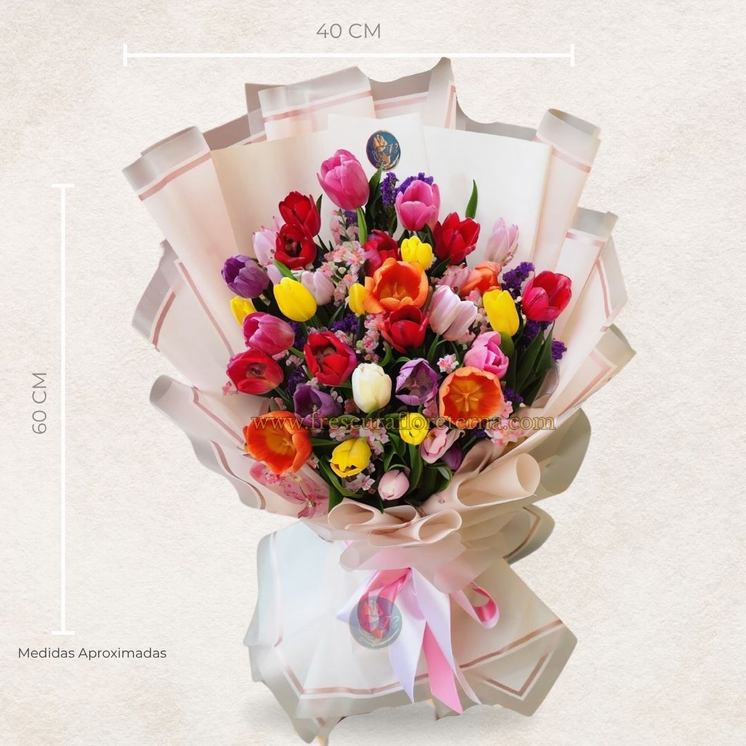 Esplendor Tulipán