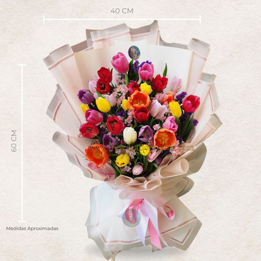 Esplendor Tulipán
