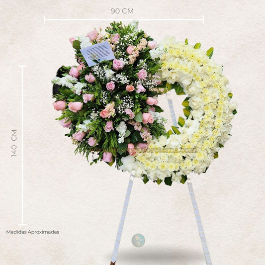 Ofrenda Floral Paz