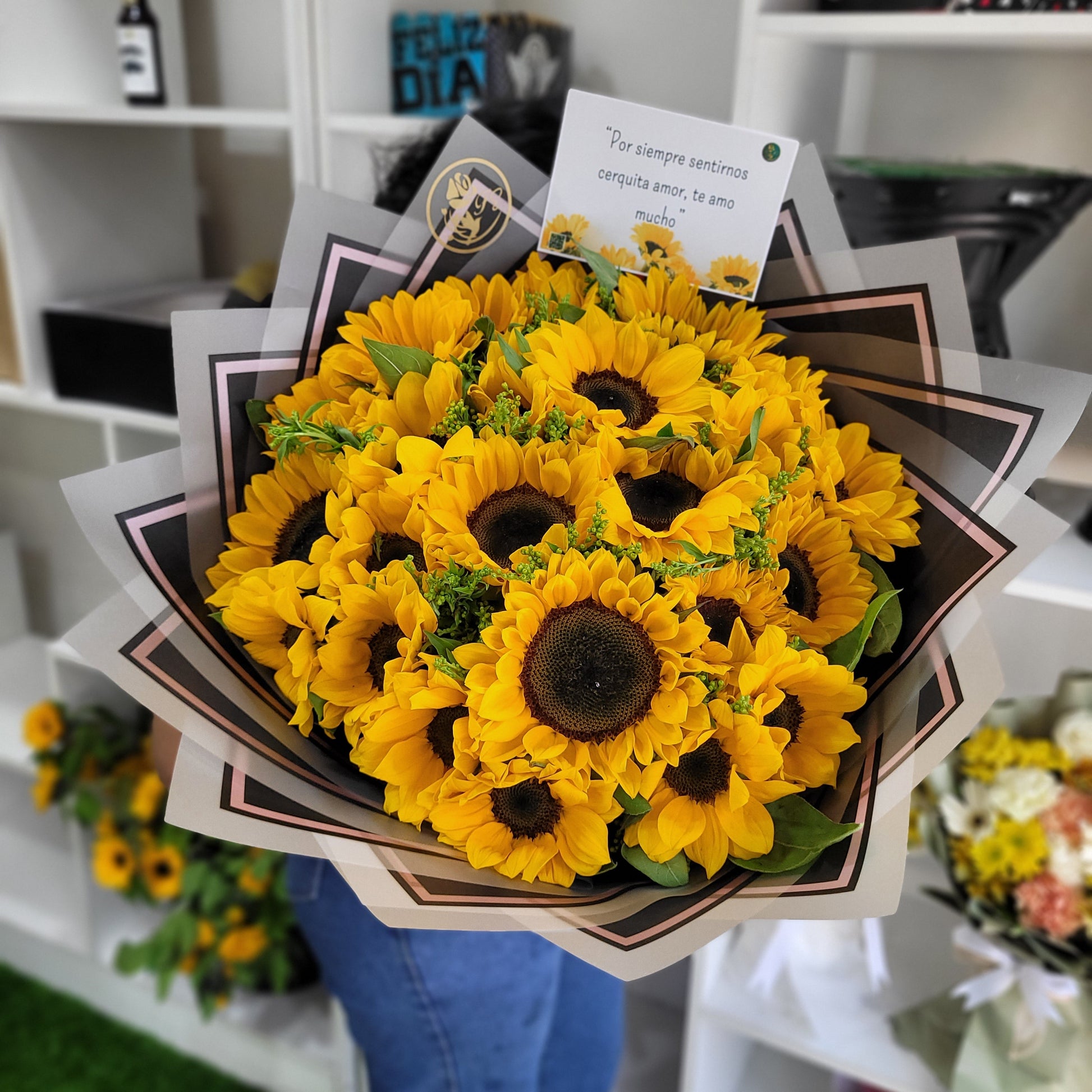 20 girasoles y soliaster
