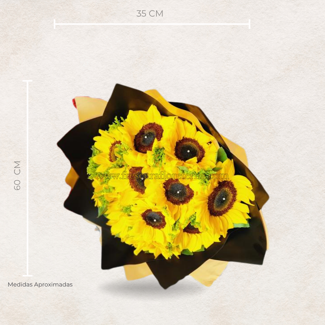 20 girasoles y soliaster perlita