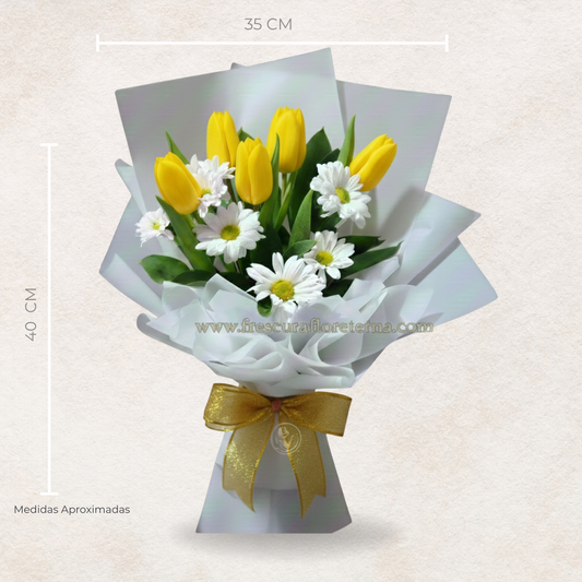 Tulipanes Elegancia Doble – 6 Flores