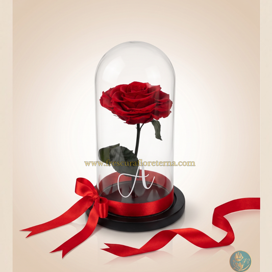 Rosa Jumbo Eternizada Premium
