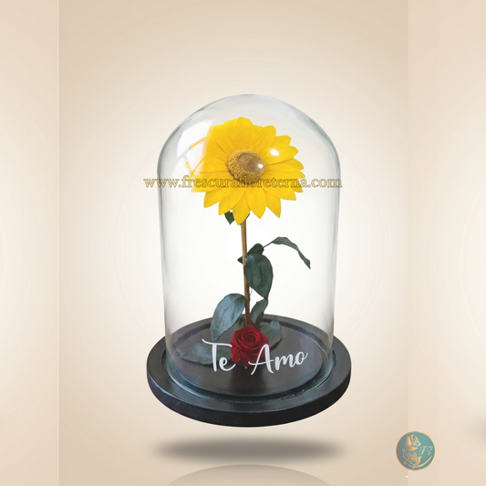 Girasol Jumbo Eternizado “Mi Girasol”