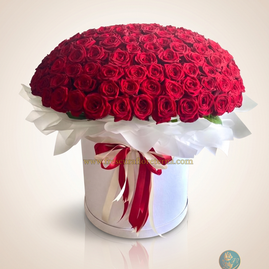 Box 150 Rosas Premium