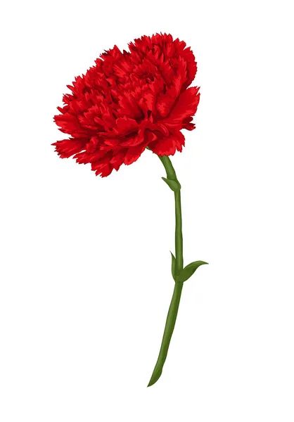 Clavel