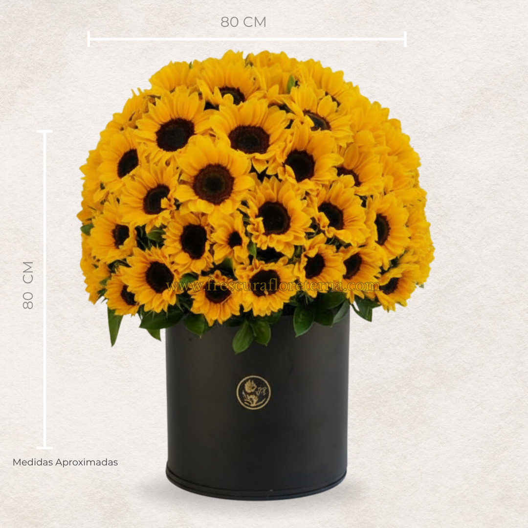 box de 80 girasoles