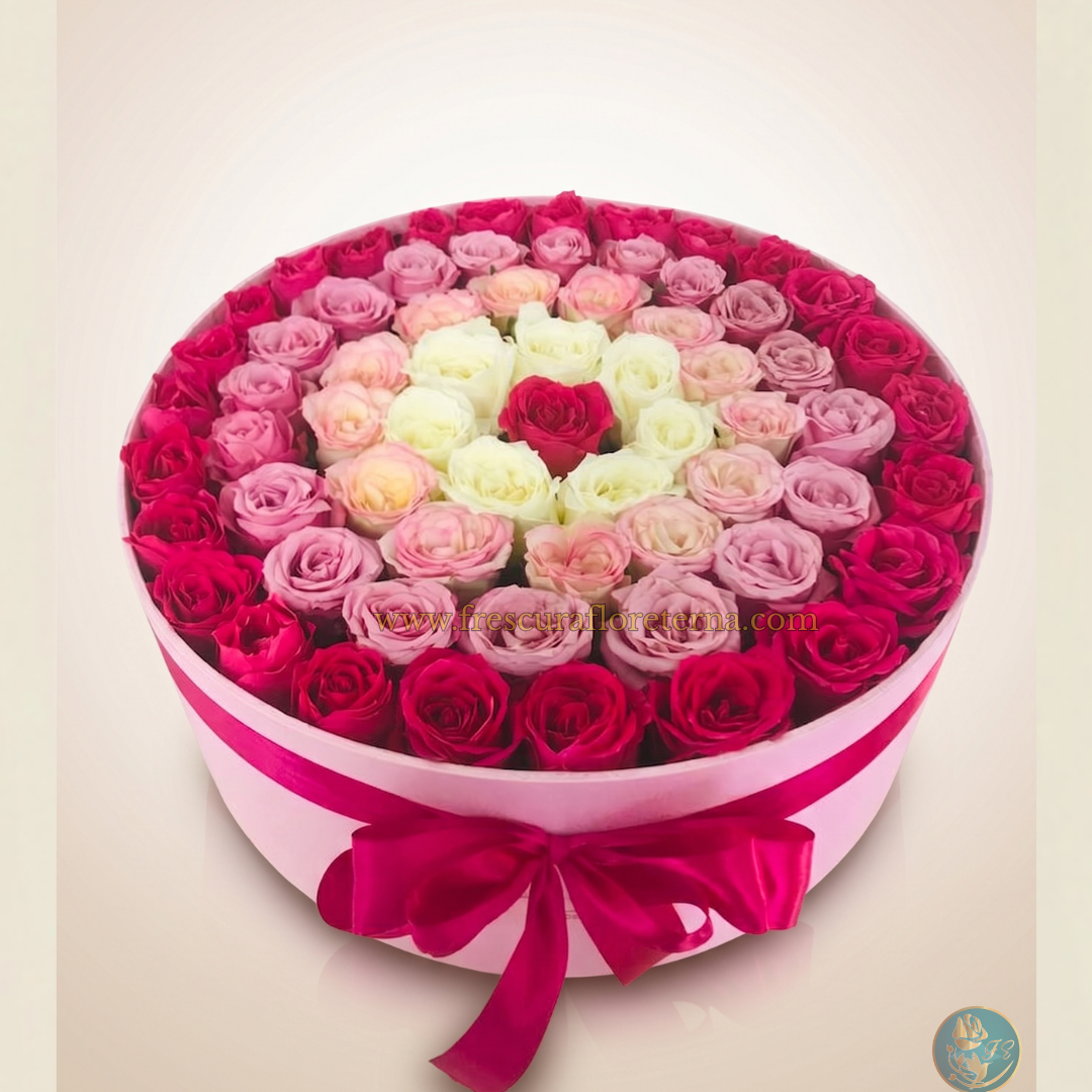 box rosas colores variados