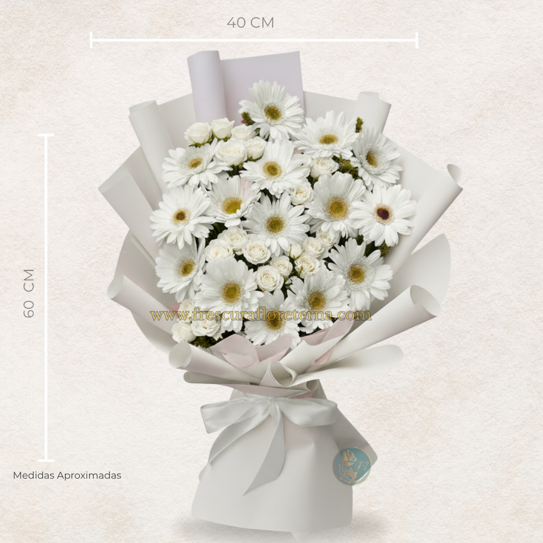 luxury de 18 gerveras blancas