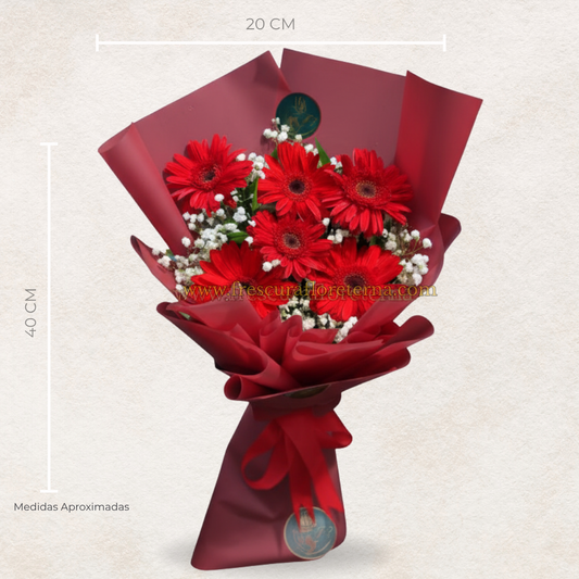luxury de 6 gerveras rojas
