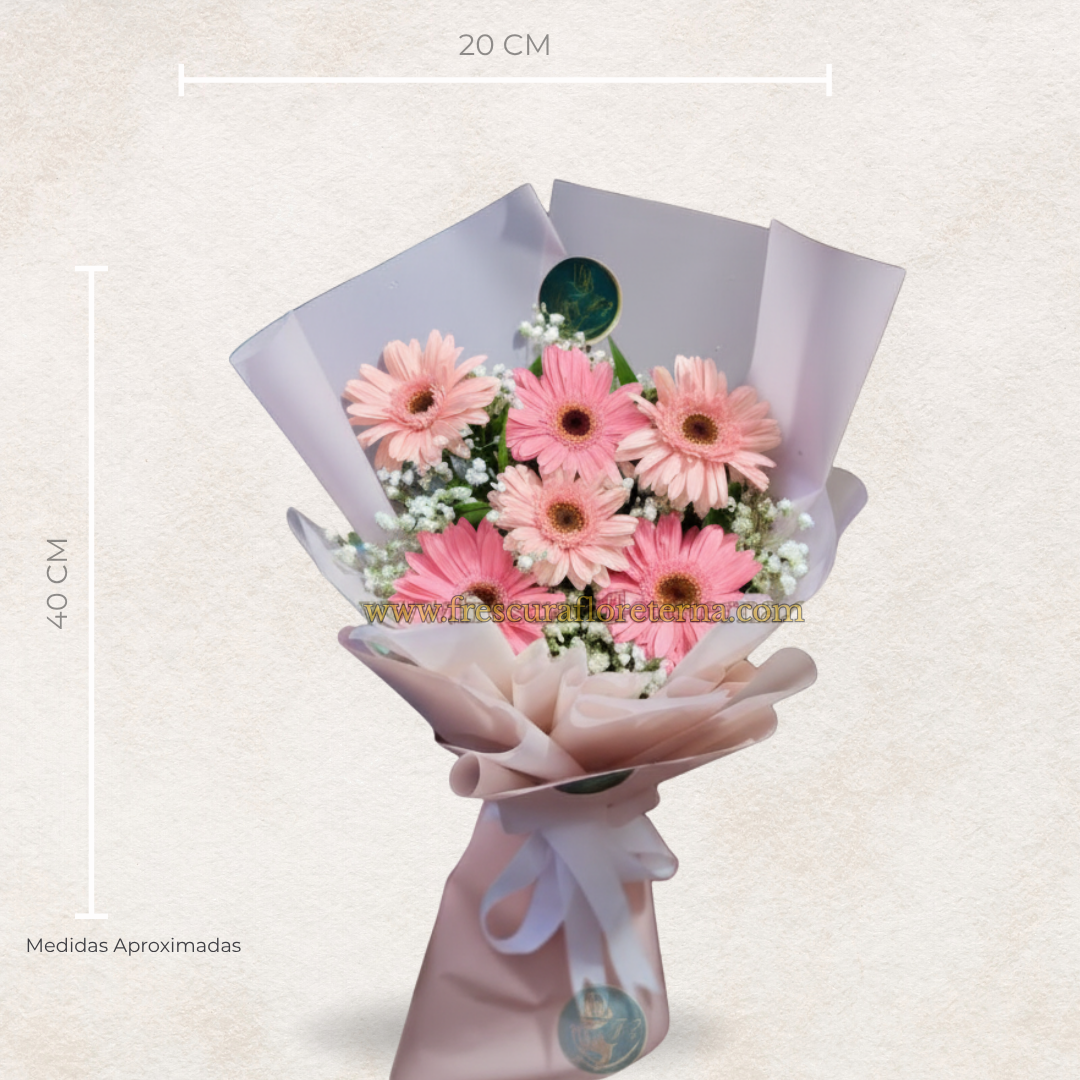 luxury de 6 gerveras rosadas