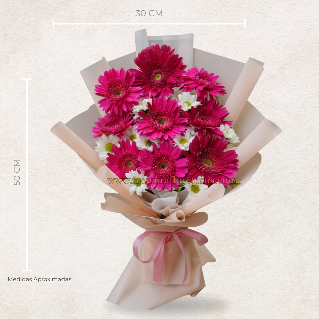 luxury de 9 gerveras fucsias