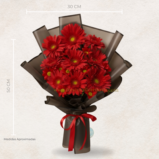 luxury de 9 gerveras rojas