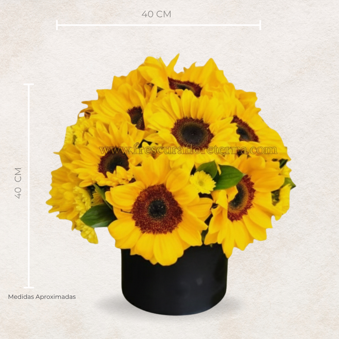 mini box de girasoles